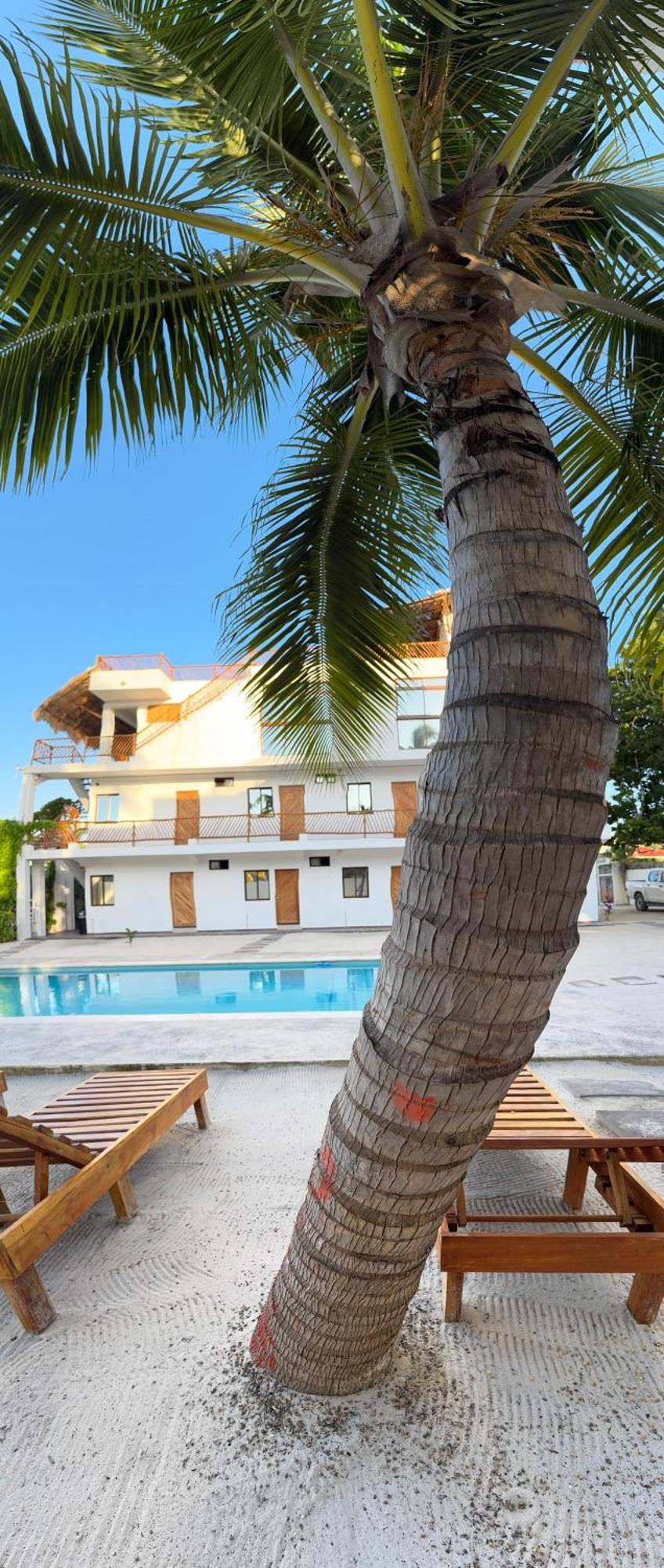 Mexhe Hotel إل كويو المظهر الخارجي الصورة