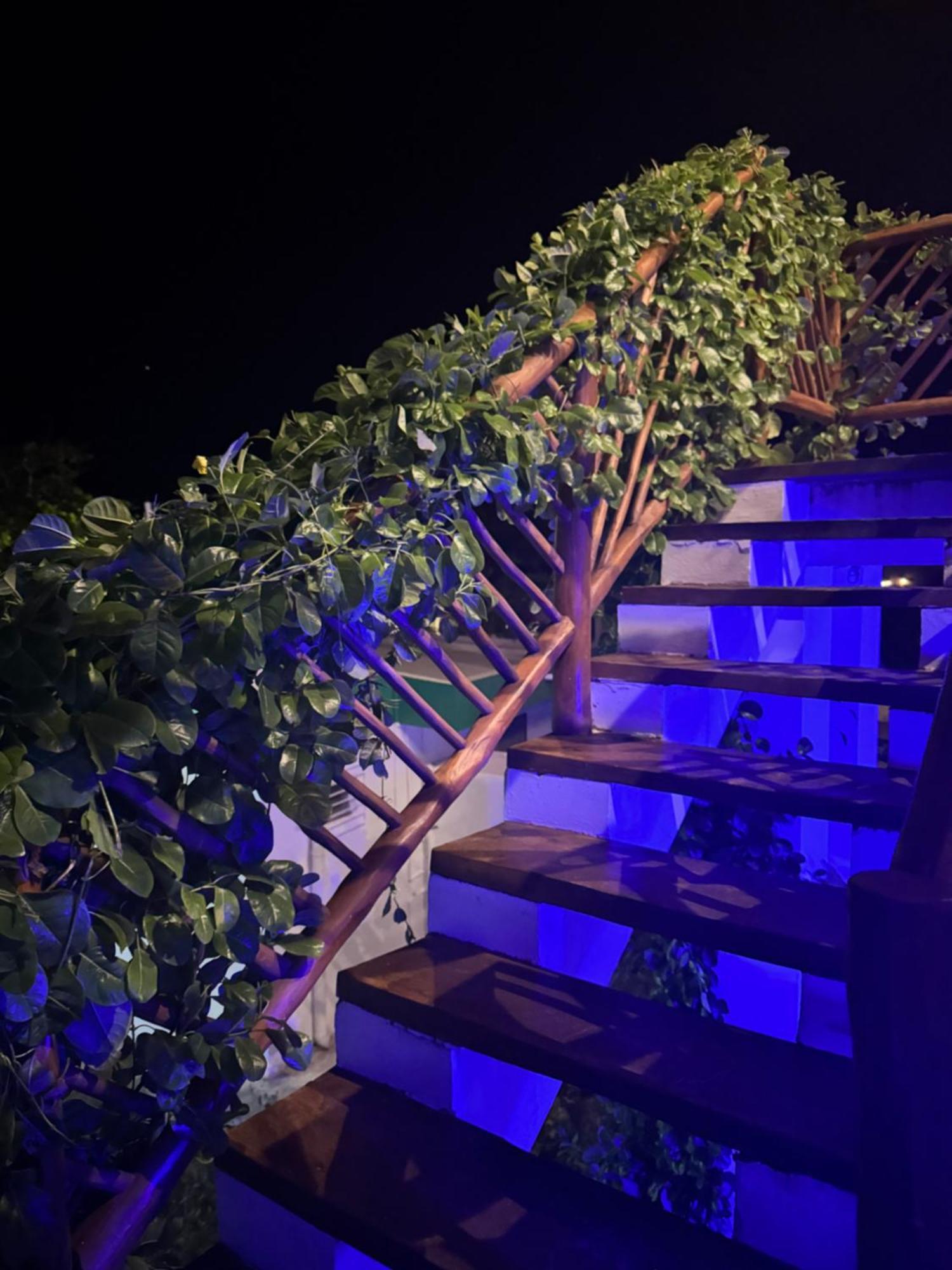 Mexhe Hotel إل كويو المظهر الخارجي الصورة