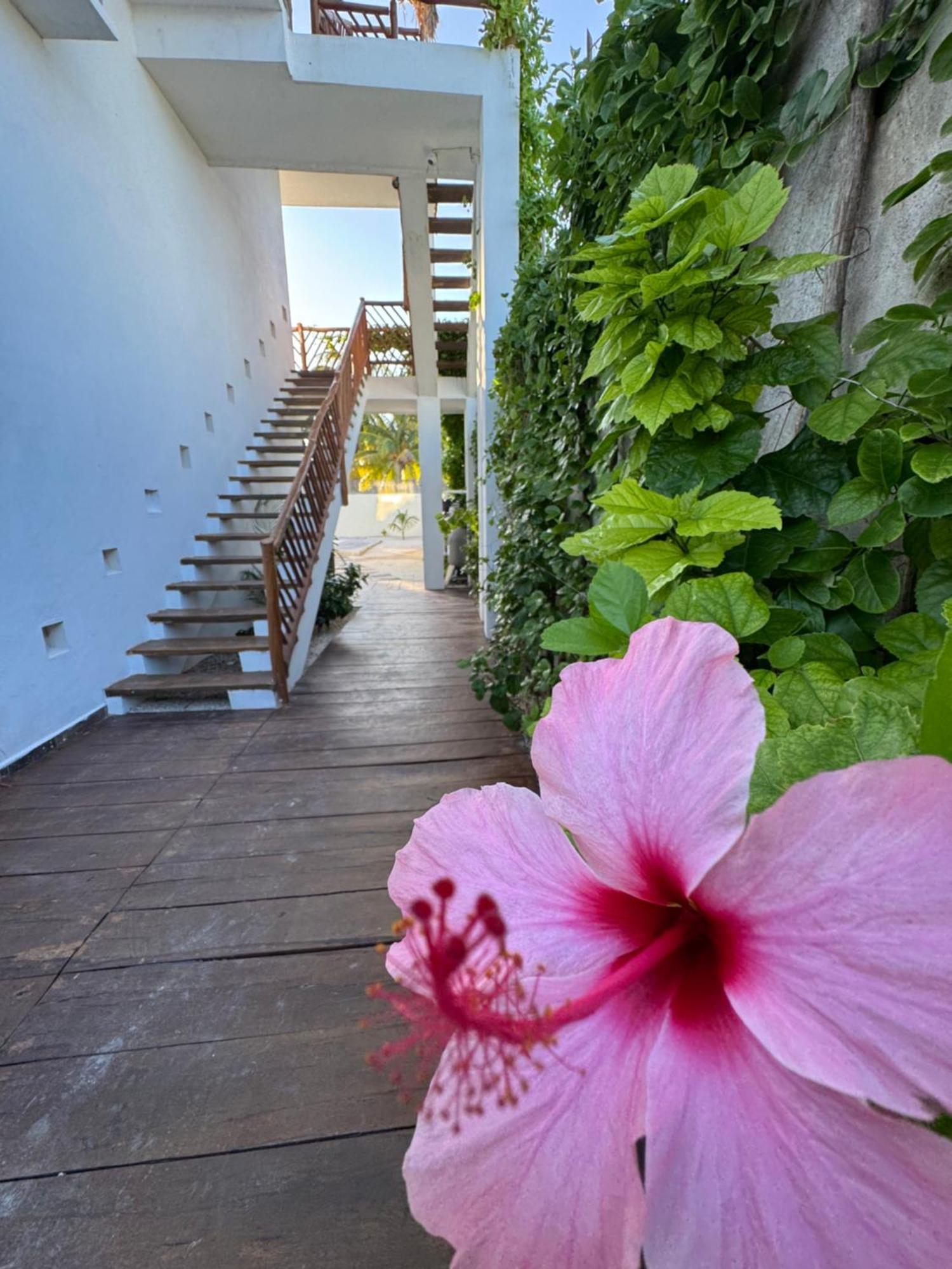 Mexhe Hotel إل كويو المظهر الخارجي الصورة