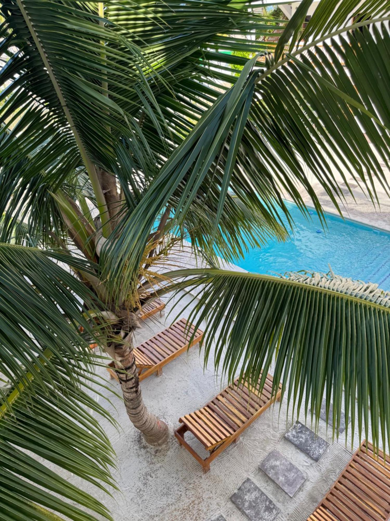 Mexhe Hotel إل كويو المظهر الخارجي الصورة